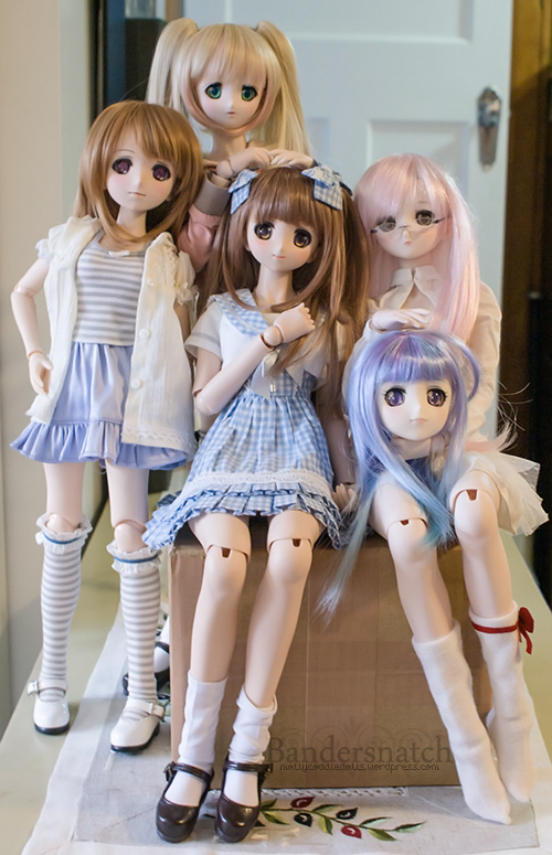 dollfie dream shop